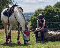 Pferd Tier shooting